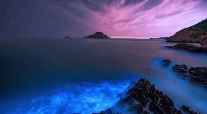 不朽星球