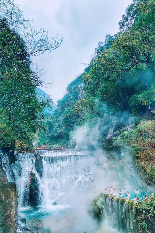 塔罗占卜师怎么考?考证要求是?