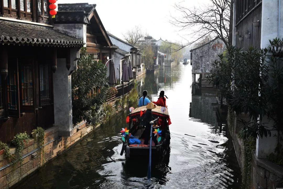 杨丞琳用狗跟李荣浩对比,李荣浩:你到底从哪找这么多狗